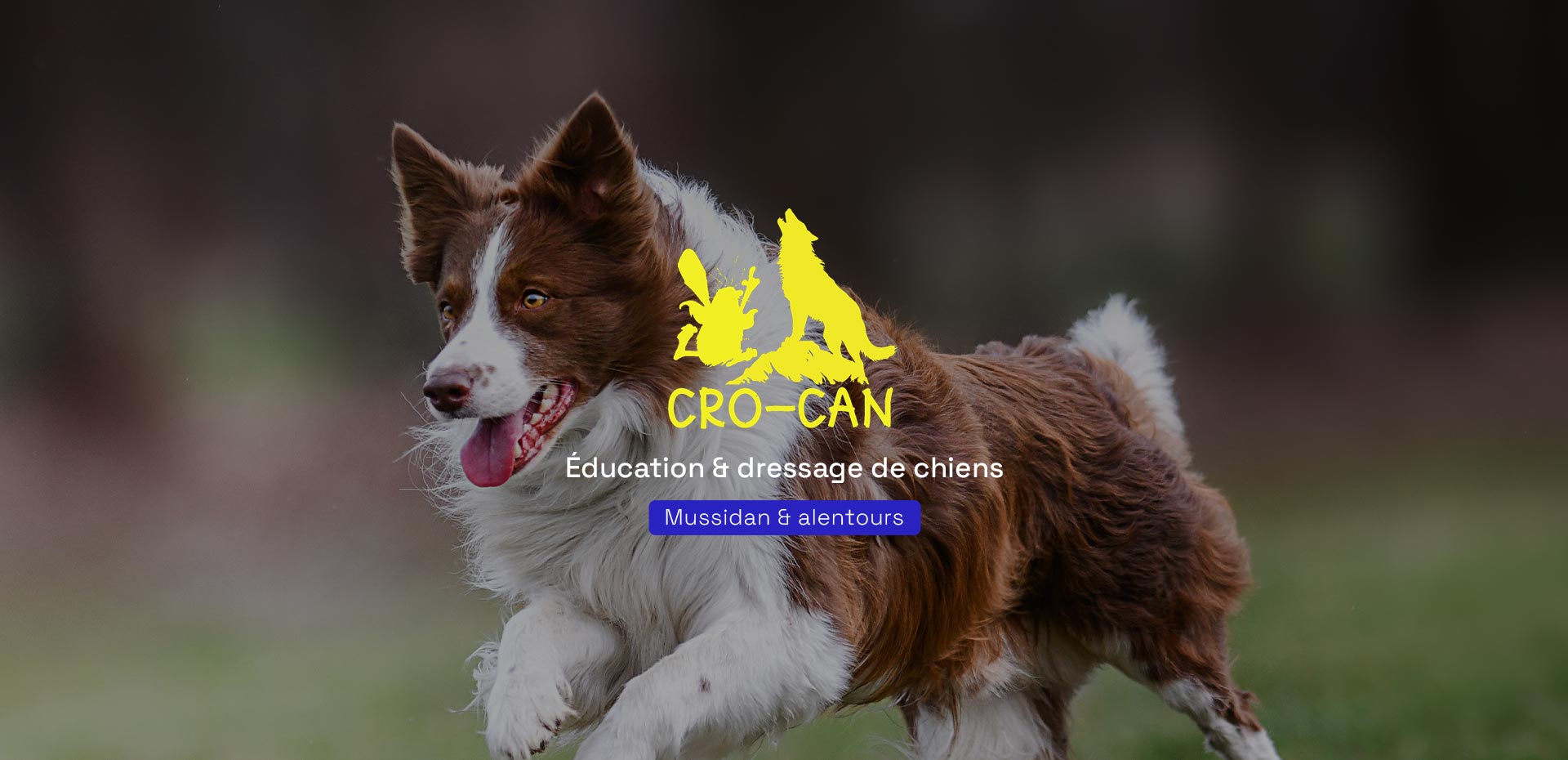 Centre d’éducation et d’entrainement canin en Dordogne